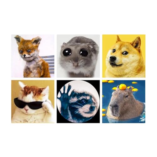 LuwoArte 6 Pack Diamond Painting Kits for Adults – Funny Meme Animals – Full Drill DIY Paint Gem Art for Adults – Brilliant 5D Diamond Painting Kit – Relaxing Craft for Home Wall Décor