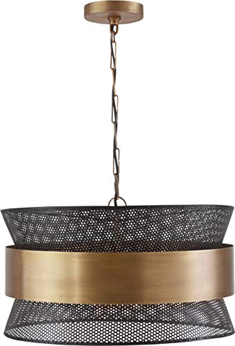 Capital Lighting 330447PK Loren Perforated Metal Mesh Drum Pendant, 4-Light