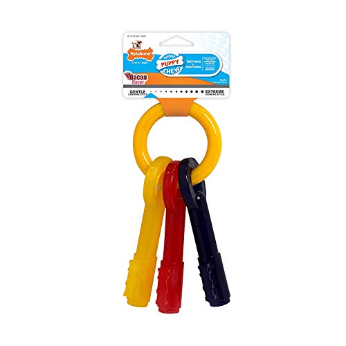 Nylbone JU01036 Llaves para Dentición de Cachorros Ex-Pequeñas