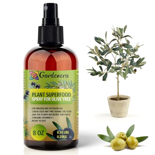 𝐁𝐄𝐒𝐓𝐒𝐄𝐋𝐋𝐄𝐑 Plant Superfood for Olive Tree with B1 Vitamin, Glucose and...