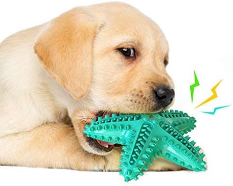 Dogs Molar Chew Toy Squeaky Toothbrush Starfishes Shape Toys for Aggressive Chewers Teeth Cleaning, ​​Long Lasting, Bite Resistant…