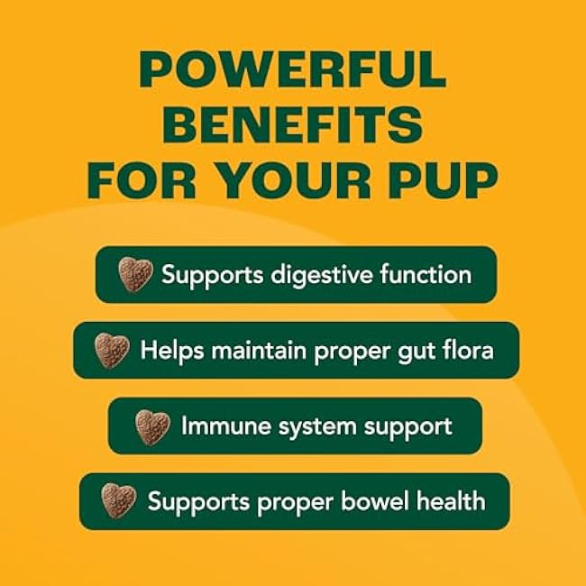 Probiotics for Dogs with Prebiotics, Fiber, Chicory Root & Pumpkin I 8-Strain Pre and Probiotic Dog Chews | Dog Probiotics for Digestive Health, Gut Support, Diarrhea & Gut Flora, 90 Count-LQR4ZzwI