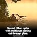 Nikon Action 7x50 Binocular | Multilayer-Coated Nikon Optics, Bright 50mm Objective Lenses, 7X Power, Turn-and-Slide Adjustable eyecups and Tripod-Ready Porro-Prism Design
