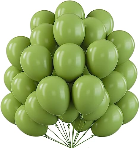 Image of 50 Pcs Retro Balloons Made of Strong Rubber (Retro Green)