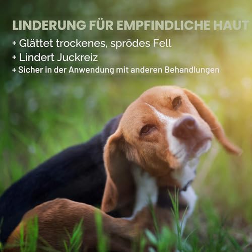 Vet's Best Hypoallergenes Hundeshampoo für empfindliche Haut, lindert Beschwerden durch trockene, juckende Haut, reinigt, pflegt und spendet Feuchtigkeit – Frischer Duft, 500 ml