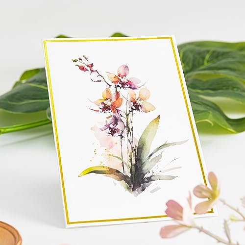 Crisky CRD033-PLANTS-CHROMATIC-50 50 Floral Greeting Cards thumb #4