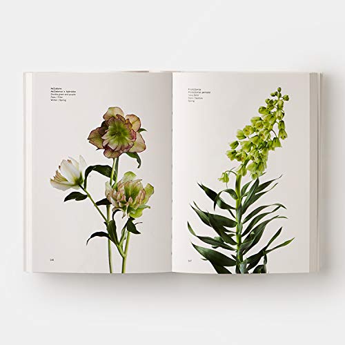 Flower Color Guide #TOP1