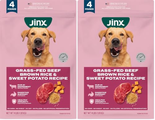 Jinx Premium Dry Dog Food Real Beef 4lb (2-Pack)