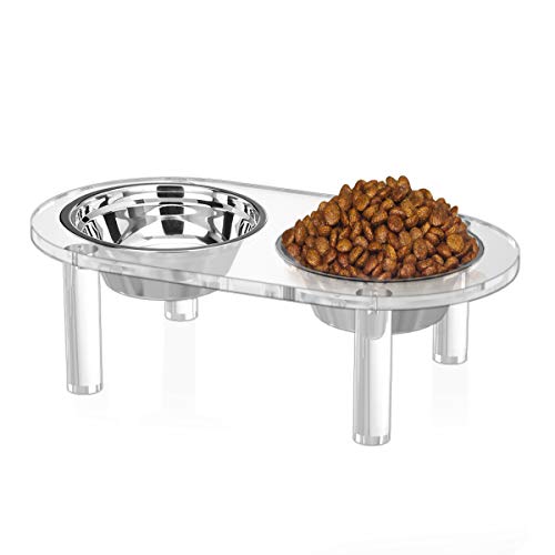 Best Acrylic Dog Bowl Stands For Your Pup’s Dining Experience