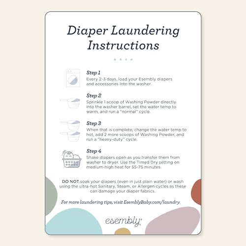 Esembly Laundry Washing Powder – HE Mineral Based Detergent for All Household Laundry and Cloth Diapers – Patented, Fragrance-Free, EWG Verified, Earth-Friendly, (6lb Refill Bag No Scoop)