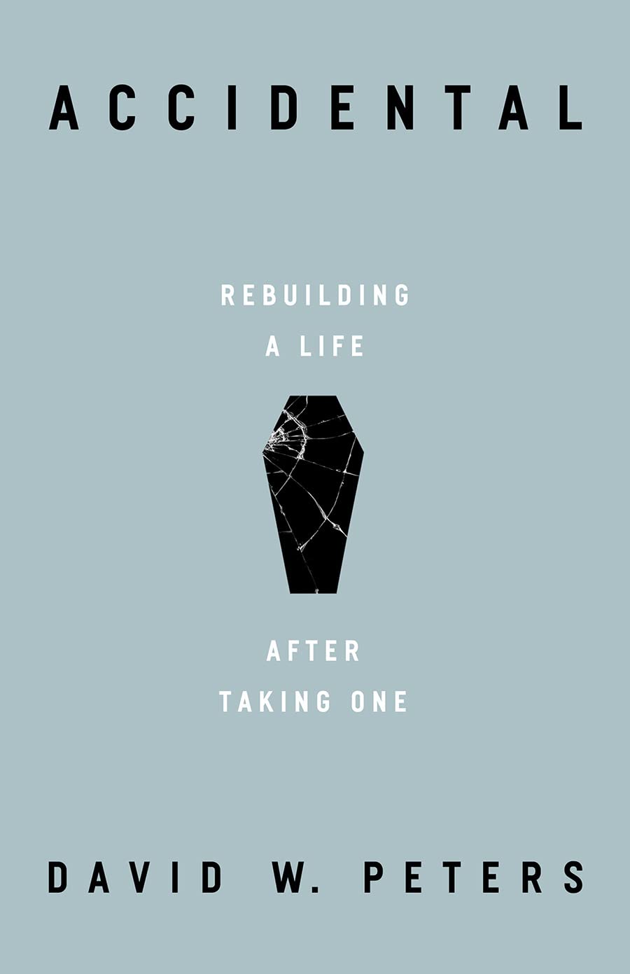 Accidental Rebuilding a Life after Taking One by David W. Peters (Hardback Book)
