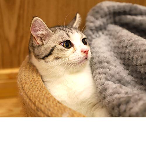Furrybaby Premium Fluffy Fleece Dog Blanket, Soft And Warm Pet Throw For Dogs & Cats #TOP4