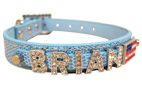 Bling Stuff For Fun Tm - Snake Pu Leather Personalized Rhinestone Bling Dog Name Collar For Large, Medium, Small Dogs And Puppies (Sky Blue, M: Neck Size 11.2"-14") #TOP1