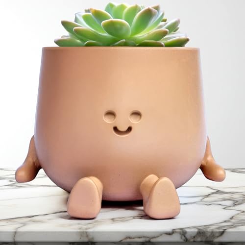 Everzen Smiley Face Planter Pot – Cute Resin Succulent Pots with Drainage Hole for Indoor Plants – Happy Decorative Mini Flower Vase for Desk, Décor - Ideal Gift for Plant Lovers