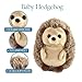 The Petting Zoo Hedgehog Stuffed Animal Plushie, Gifts for Kids, Wild Onez Babiez Wildlife Animals, Hedgehog Plush Toy 6 inches