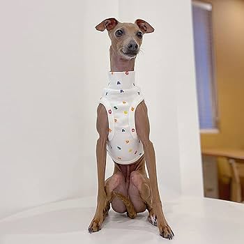 専用　アトリエG・G ストラップ白襟シャツ　犬服 MANDARINE BROTHERS 犬 服 夏 マンダリンブラザーズ ドッグ