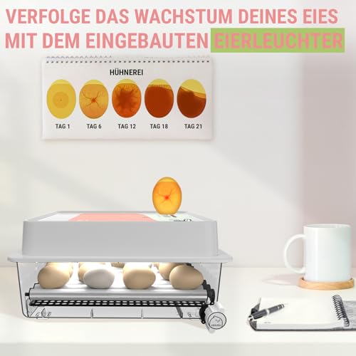 Okköbi OBI-36 Brutautomat Vollautomatisch – Inkubator für 36 Eier mit Automatischem Eierwender - Brutkasten Hühner für Hühnereier, Wachtel und Enteneier - Orange
