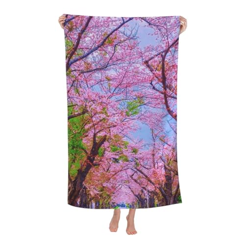 oX^I wA^I ԕ {w~A9 r[`^I XC^I _炩G uԋz RۖhL ȋzƑ ƒpAzeAX|[cȂǂɍœK