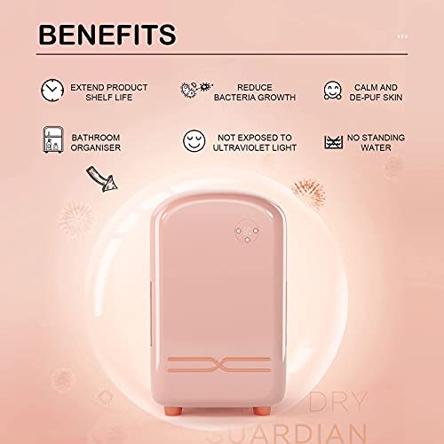 TELAM Mini-koelkast, 12 liter, draagbare mini-koeler, huidverzorgingskoelkast, voor het bewaren van make-up, draagbare… - Image 3