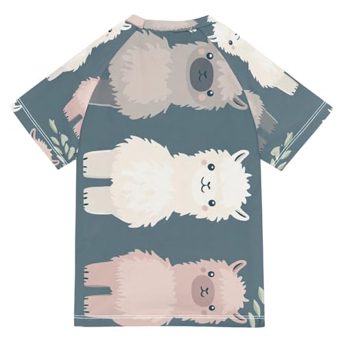 Boys Short Sleeve T-Shirts Cute Alpaca Sheep Cartoon Rashguard Kids Swim Shirts Sun UPF 50+ Multicoloured2