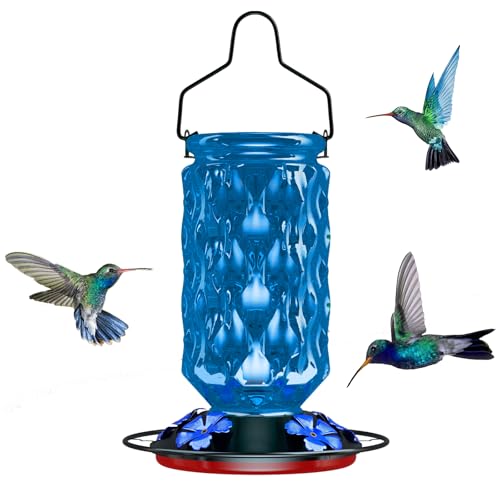 24OZ Glass Hummingbird Feeders for Outdoors Hanging Five Feeding Ports with Perch Leak Proof for Gardens Decor Backyard Bird Feeder for Outside Birthday Gifts for Women Men Gifts for Mom Dad