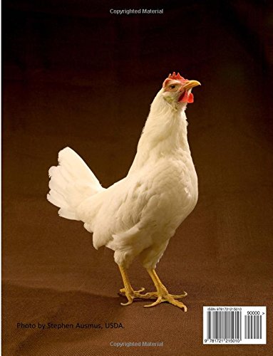 Composition Notebook Wide Ruled: Animal Husbandry Farm College Ruled Notebook For Home Office Or School Single Subject Supplies With Lined Paper For ... (College Wide Ruled Composition Notebooks)