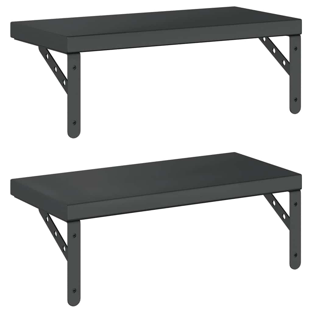 vidaXL Estantes de Pared 2 uds Acero Inoxidable Negro 50x23,5 cm, Estante Flotante, Estante Flotante de Pared, Estante de Cuarto de Servicio