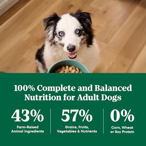 Image of Nutro Natural Choice Dry Dog Food, Salmon & Brown Rice Recipe, 4.5 lb