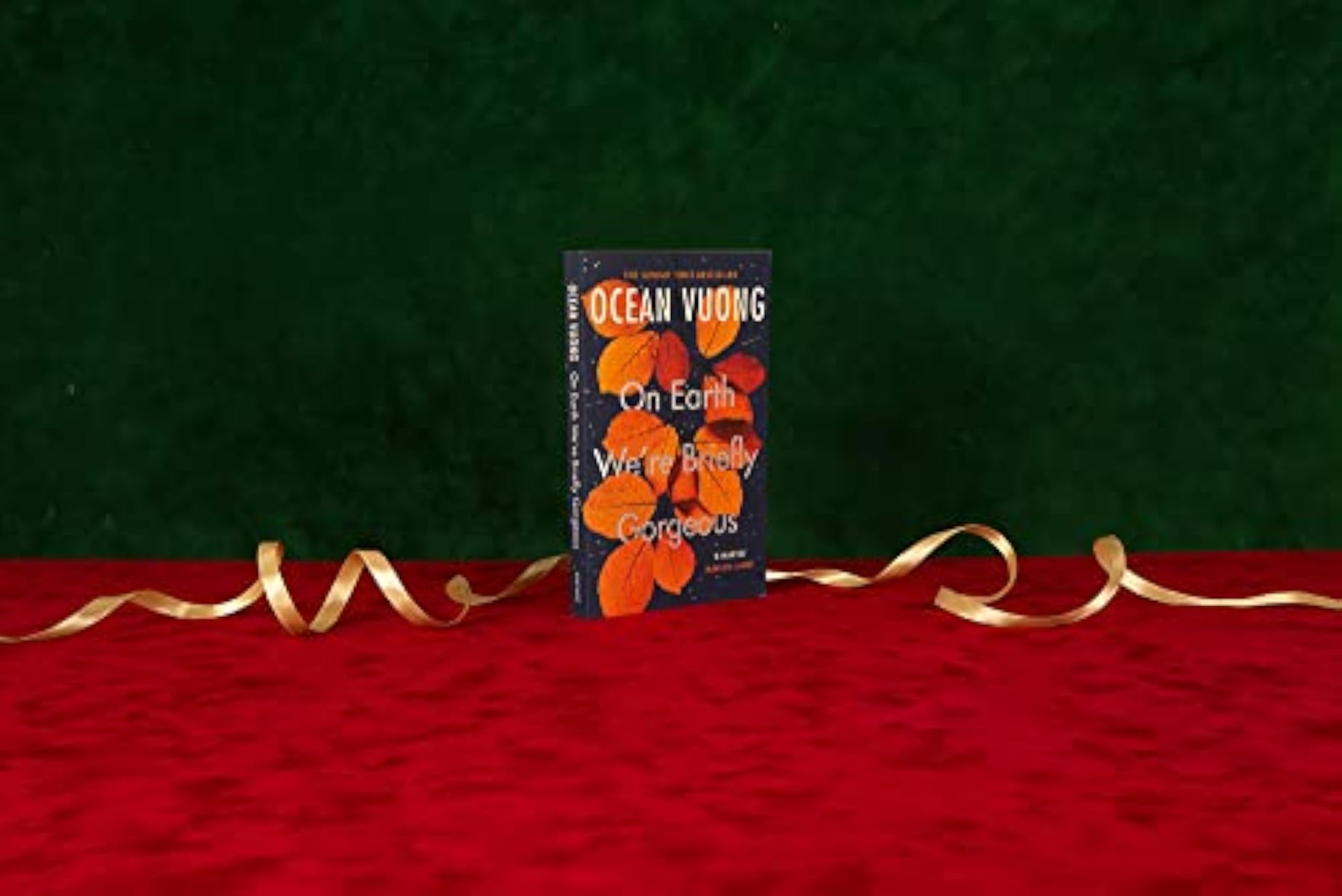 On Earth We're Briefly Gorgeous, A Poignant Novel