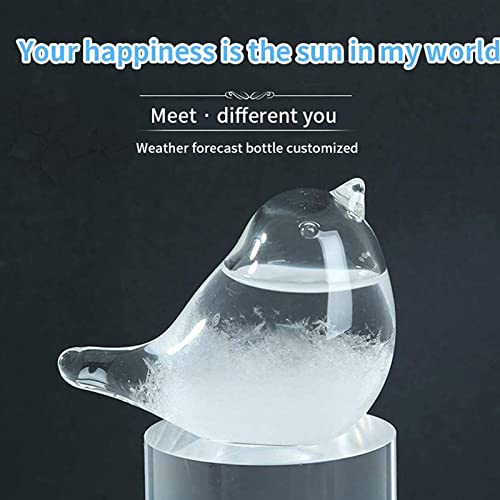 image for Weather Station Forecaster Decoration Craft, Bird Shape Storm Glass We