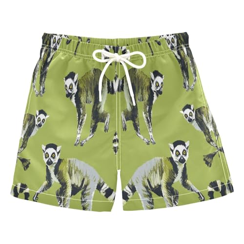 Jucciaco Boys Beach Board Shorts Lemur Real Animal Pattern Quick Dry Swim Trunk Swimwear for Kids Multicolor