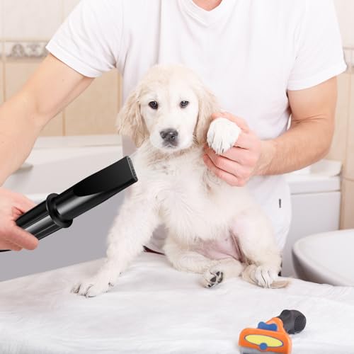 3500W Hundefön Blower Sehr Leise Tierhaartrockner Blower Hundefön Einstellbare Geschwindigkeit mit 4 Düsen Pet Dryer Fön für Haustiere Haustier Hundepflege Trockner Hundetrockner Gebläse für Hunde