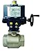 Dixon 2.5" 2way Ind Vlve, 2pc Design,FNPT 110VAC, Nema 4 (BV2HG-25011-EA)