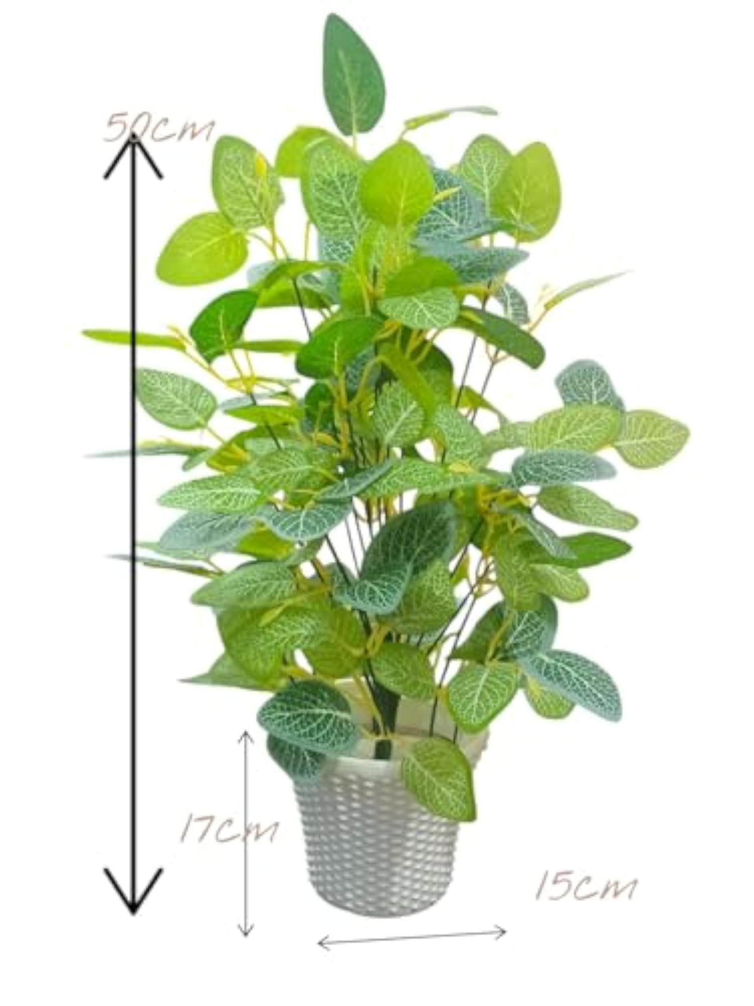 Artificial Green Leaf Money Plant with Plastic Pot