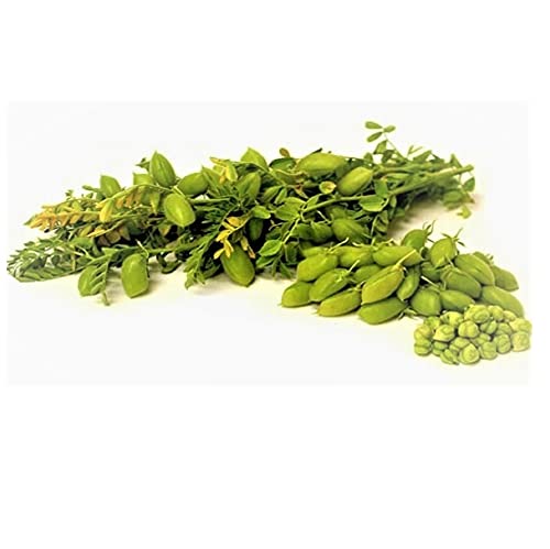 Fresh Chana/Harbhara Green with Leaves,250g