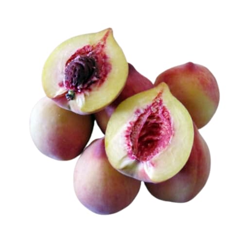 Muda Frutífera de Pêssego Eragil Enxertado