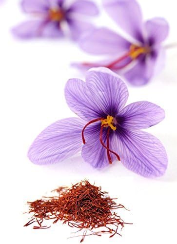 Miniatura 2 de Azafrán Crocus 20 Bulbos