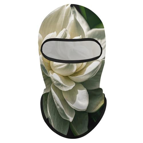 Balaclava para hombre y mujer, máscara para esquiar, cubreboca completo para ciclismo miniatura 7