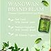 Wangwan Thai Green Balm, All-Natural Ingredients, 50g (1.7oz) Saled Pangpon Balm, Thai Herbal Balm (1x50g SL Balm)