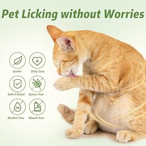   Cleaning-Deodorizing-Wipes-for-Dogs-and-Cats-Pet-Grooming-Gloves-for-Nourishing-Fur-No-Rinse-Bathing-Wipes-for-Daily-Care-and-Traveling-Dog-Washing-Gloves-for-Paws-Fur-and-Butt-10-PCS