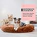 Wahre Tierliebe Orthopädisches Hundebett Deluxe für Kleine bis Große Hunde - Made in Germany - Waschbar & Formstabil - Flauschiges Hundekörbchen mit Hohem Rand für Sicherheit & Geborgenheit
