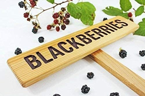 Miniatura 3 de BLACKBERRIES Garden Sign, Summer Berries, Hand Routed Plant Marker, Oregon Summer Fruit, Custom Garden Sign, Personalized Garden Marker