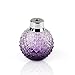 Coolrunner Crystal Art Vintage Style Refillable Perfume Atomizer Long Spray Bottle 100ml (Purple)
