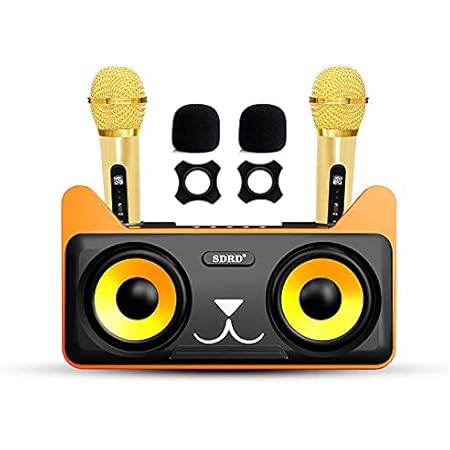 売り切れ必至 ポータブルカラオケスピーカー Bluetooth Sd 309 その他 Hlt No