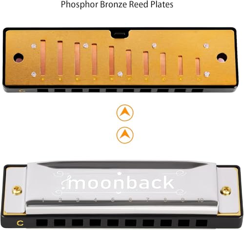 Harmonica Holder Set, 10 Holes Diatonic Blues Harmonica Key of C, Adjustable and Professional Harmonicas Holder Neck For Beginner, Students, Adult, Friends, Gift Update