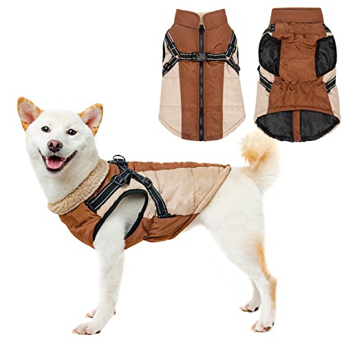 Best Dog Harnesses For Dogs, According To Experts