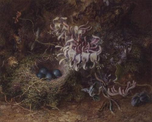 Image Sur Toile Nid d'oiseau Jabez Bligh Décoration Murale 60x90
