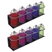 Touri 2 Pack Spray Can Holder for Garage and Workspace, Wall-Mounted Steel Aerosol Can Holder (10 Cans)
