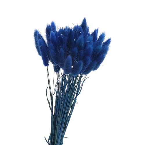 Herbe queue de lapin bleue bouquet de mariage champêtre 45cm