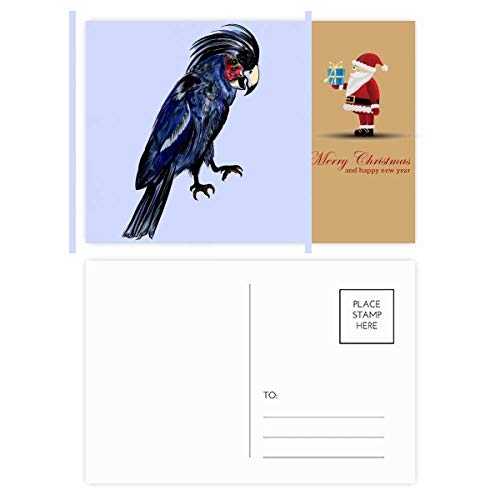 Cartes postales perroquet bleu foncé : lot de 20 pour correspondance et loisirs créatifs